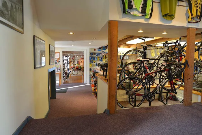 Fit Werx - Vermont. Appointment Based Bike Fitting, Sales & Service Picture 2