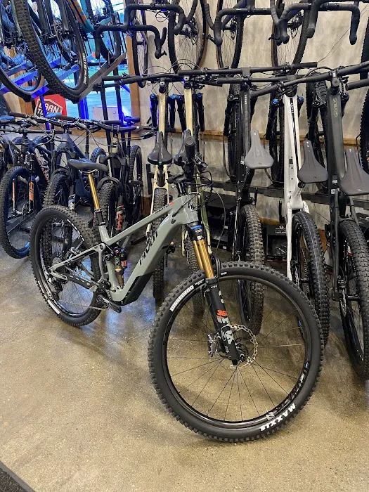 Bicycle Express Picture 5