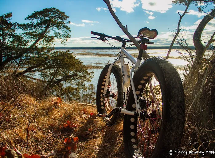 Sea Sports Cyclery & Outdoor Picture 3