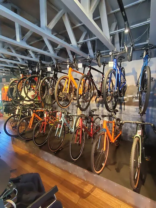 Sea Sports Cyclery & Outdoor Picture 1