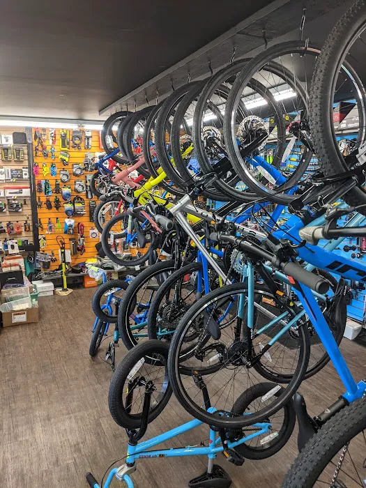 Bike Zone Picture 3