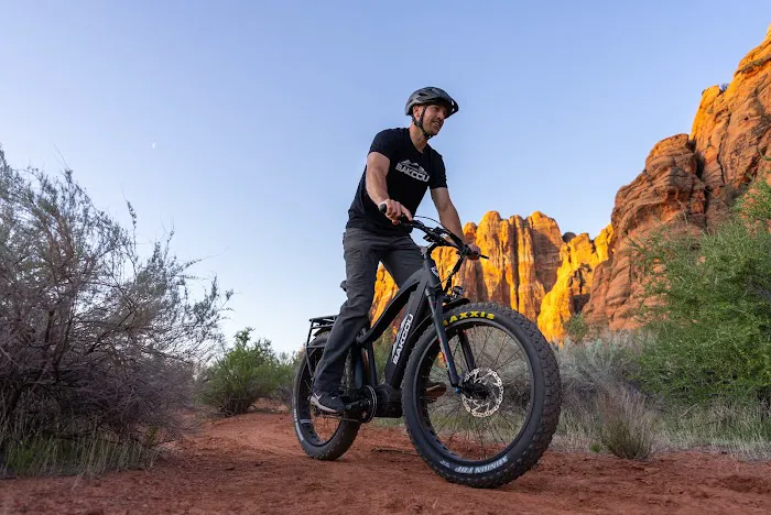 EBike 603 Picture 1