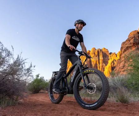 EBike 603