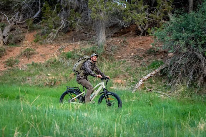 EBike 603 Picture 3