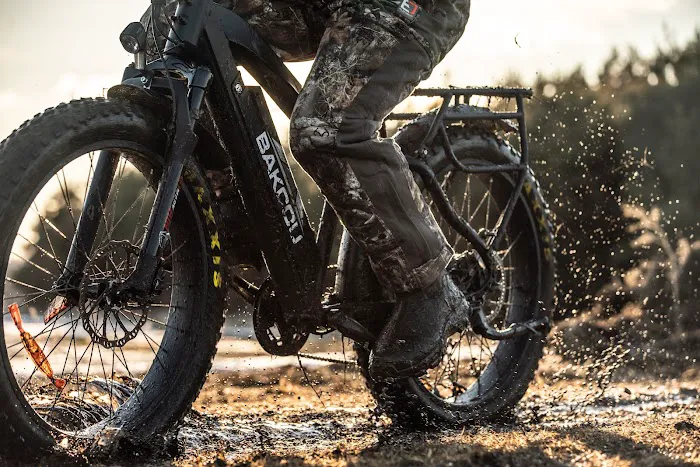 EBike 603 Picture 4