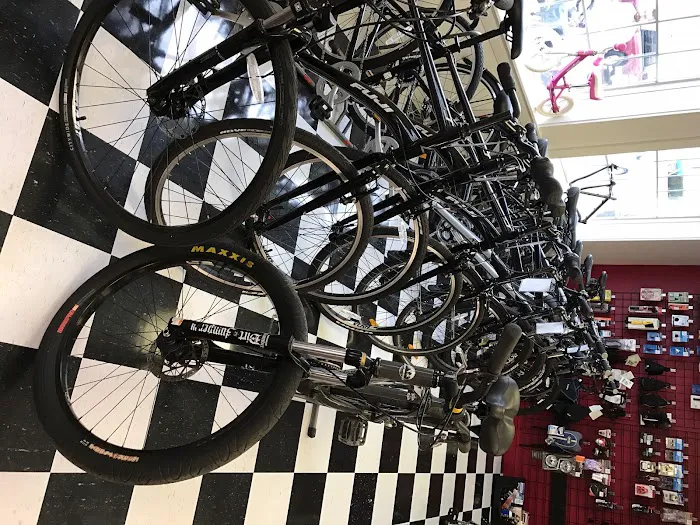 Fast & Happy Bicycles Picture 3