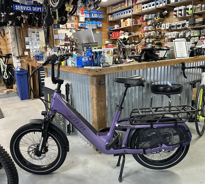 Mainely Bicycle Picture 10