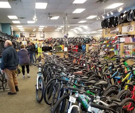 Earl's Cyclery & Fitness