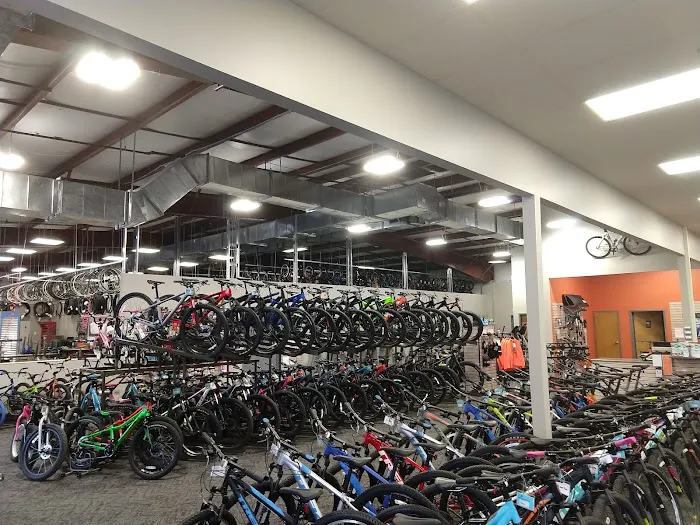 Earl's Cyclery & Fitness Picture 6