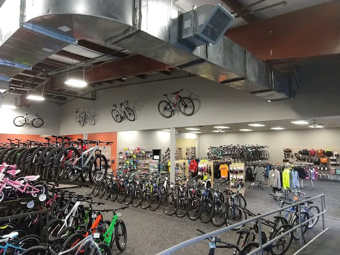 Earl's Cyclery & Fitness Picture 7