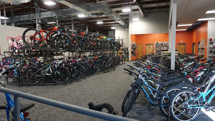 Earl's Cyclery & Fitness Picture 9