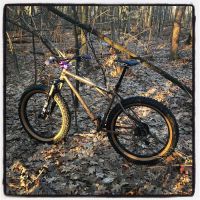 Eight Zero Two Cycles ico