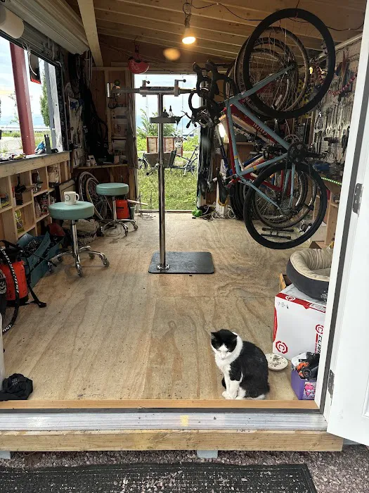 Betty's Bikes Picture 1
