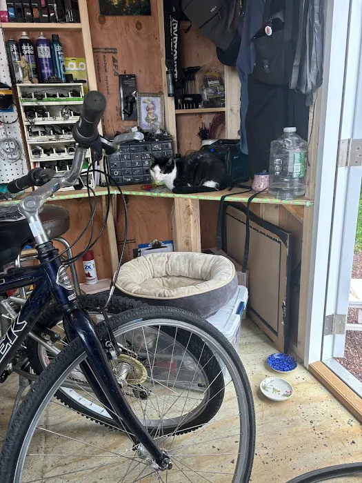 Betty's Bikes Picture 4