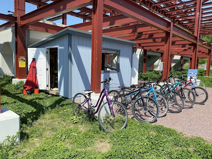 Betty's Bikes Picture 8