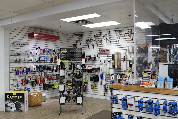 North Star Sports Picture 9