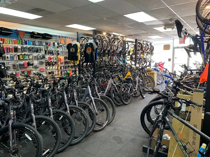 Palm City Bike Shop Picture 4