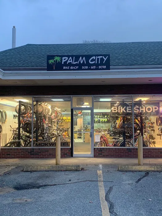 Palm City Bike Shop Picture 3