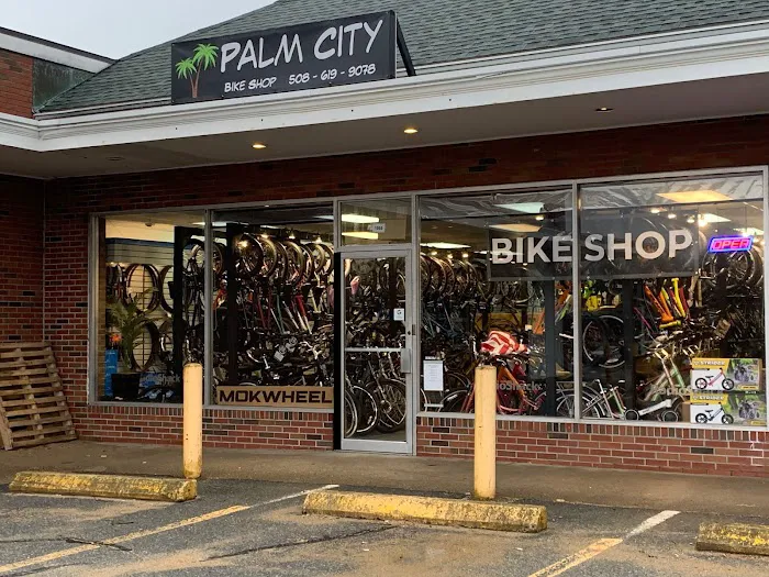 Palm City Bike Shop Picture 5