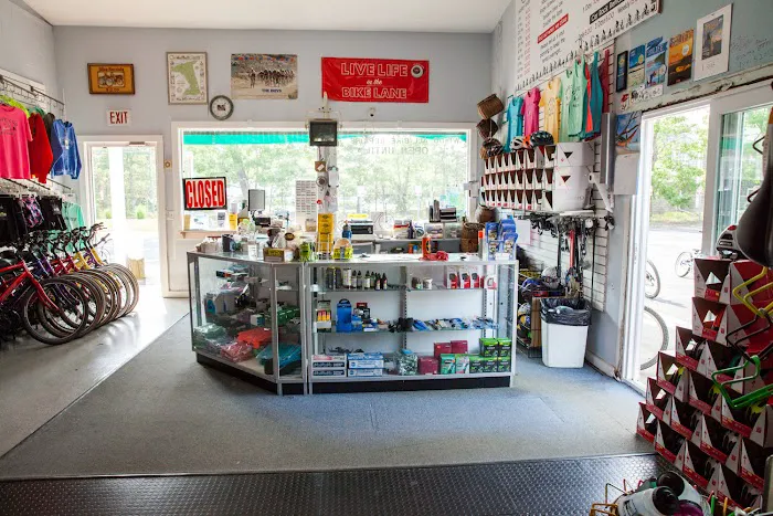 Barb's Bike Shop Picture 4