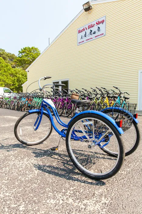 Barb's Bike Shop Picture 10