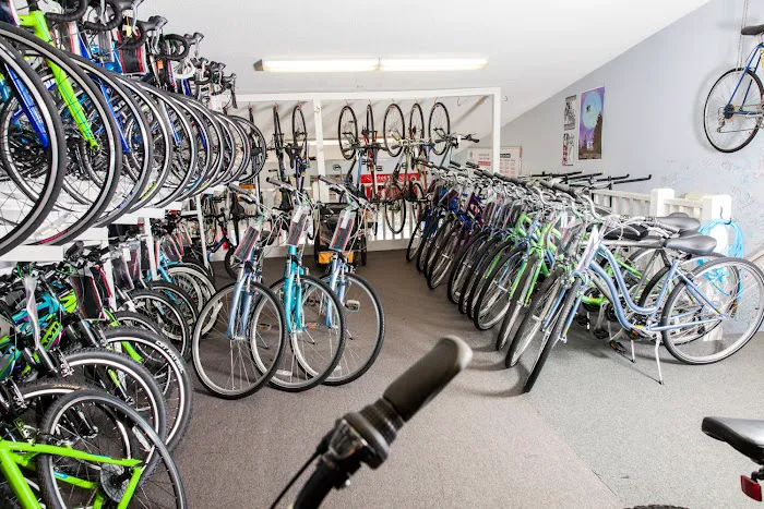 Barb's Bike Shop Picture 9