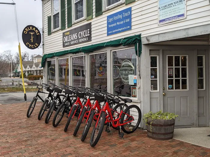 Orleans Cycle Picture 3
