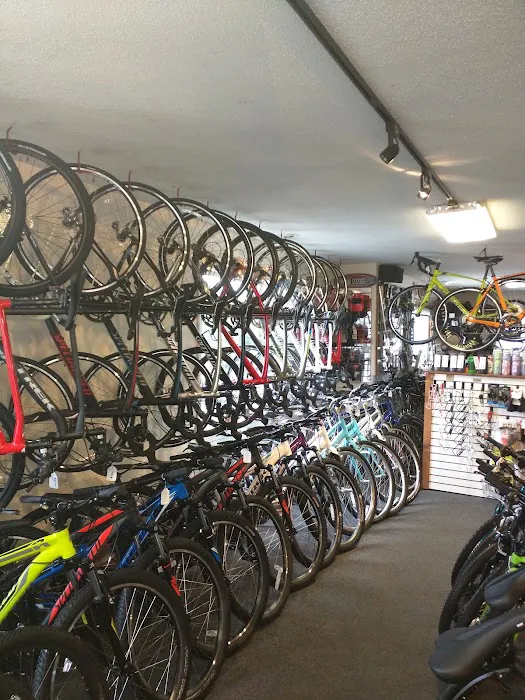 Orleans Cycle Picture 2