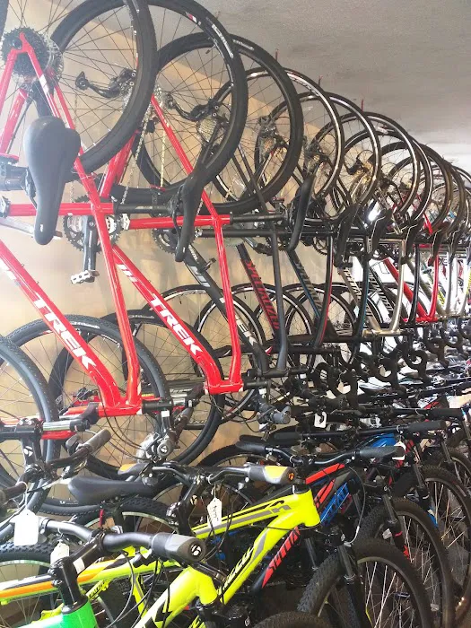 Orleans Cycle Picture 5