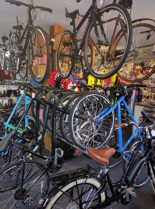 Orleans Cycle Picture 4