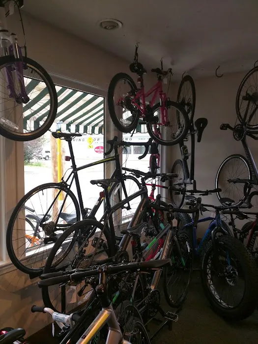 Orleans Cycle Picture 10