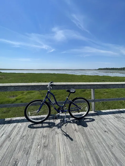 Bike Trail Rentals Mike's Picture 4