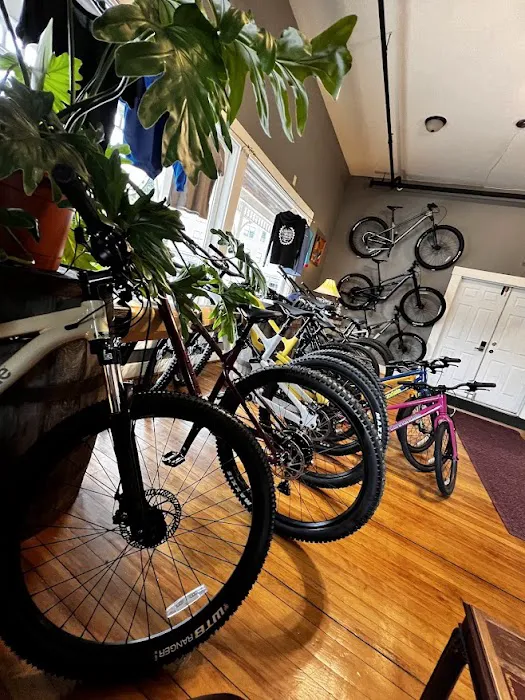Maui North Ski & Bicycle Company LLC Picture 2