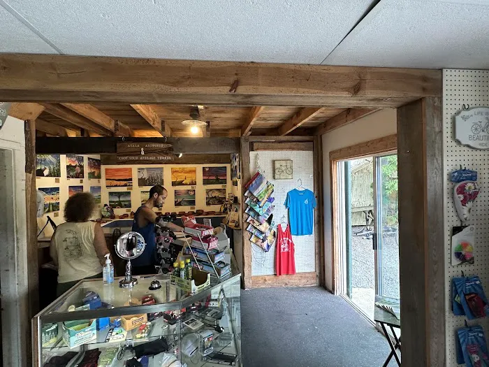 Little Capistrano Bike Shop Picture 1