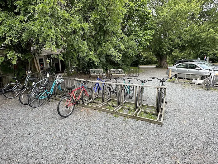 Little Capistrano Bike Shop Picture 7
