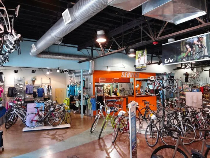 Gorham Bike & Ski Picture 4
