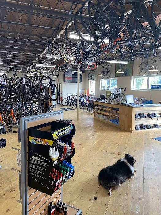 CycleMania Picture 8