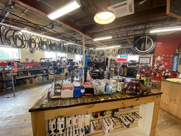 CycleMania Picture 6