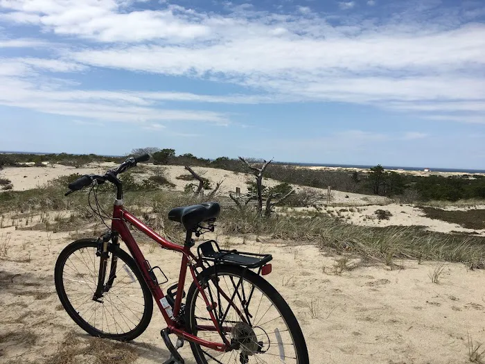 Gale Force Bike Rentals Picture 3