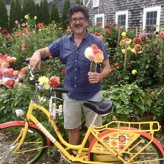 The Real Ptown Bikes Picture 6