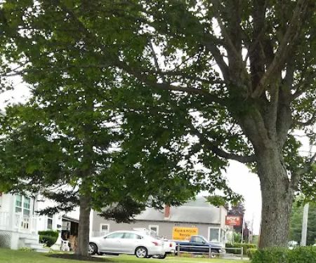 Roy's Bicycle Shop