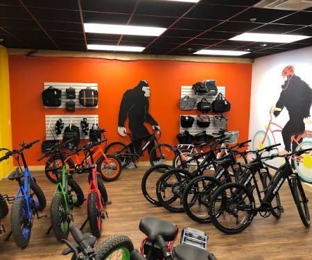 Pedego Electric Bikes Boothbay Harbor
