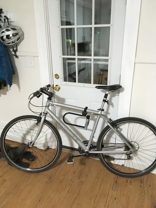 Rainbow Bicycle Picture 3