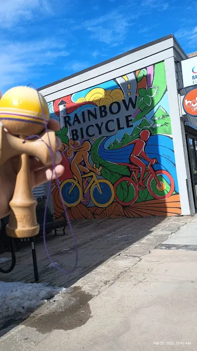 Rainbow Bicycle Picture 4