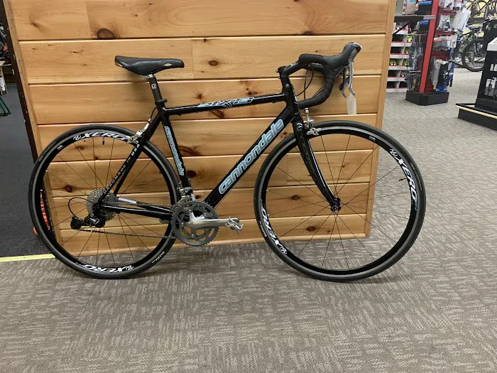 Rainbow Bicycle Picture 6