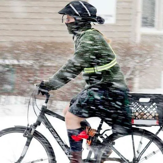 Rainbow Bicycle Picture 9