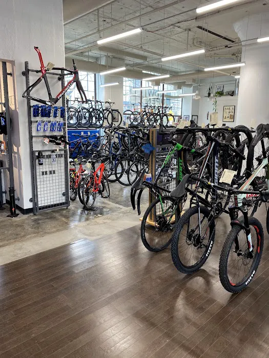 Cadence Cycling - Center City Picture 2