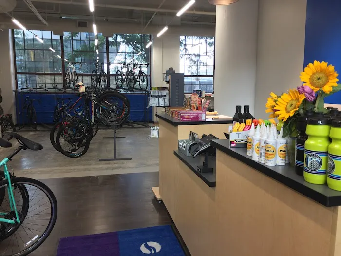 Cadence Cycling - Center City Picture 10