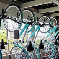 Pro Tour Cycles ico