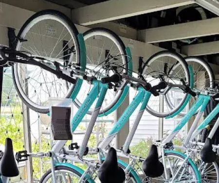 Pro Tour Cycles
